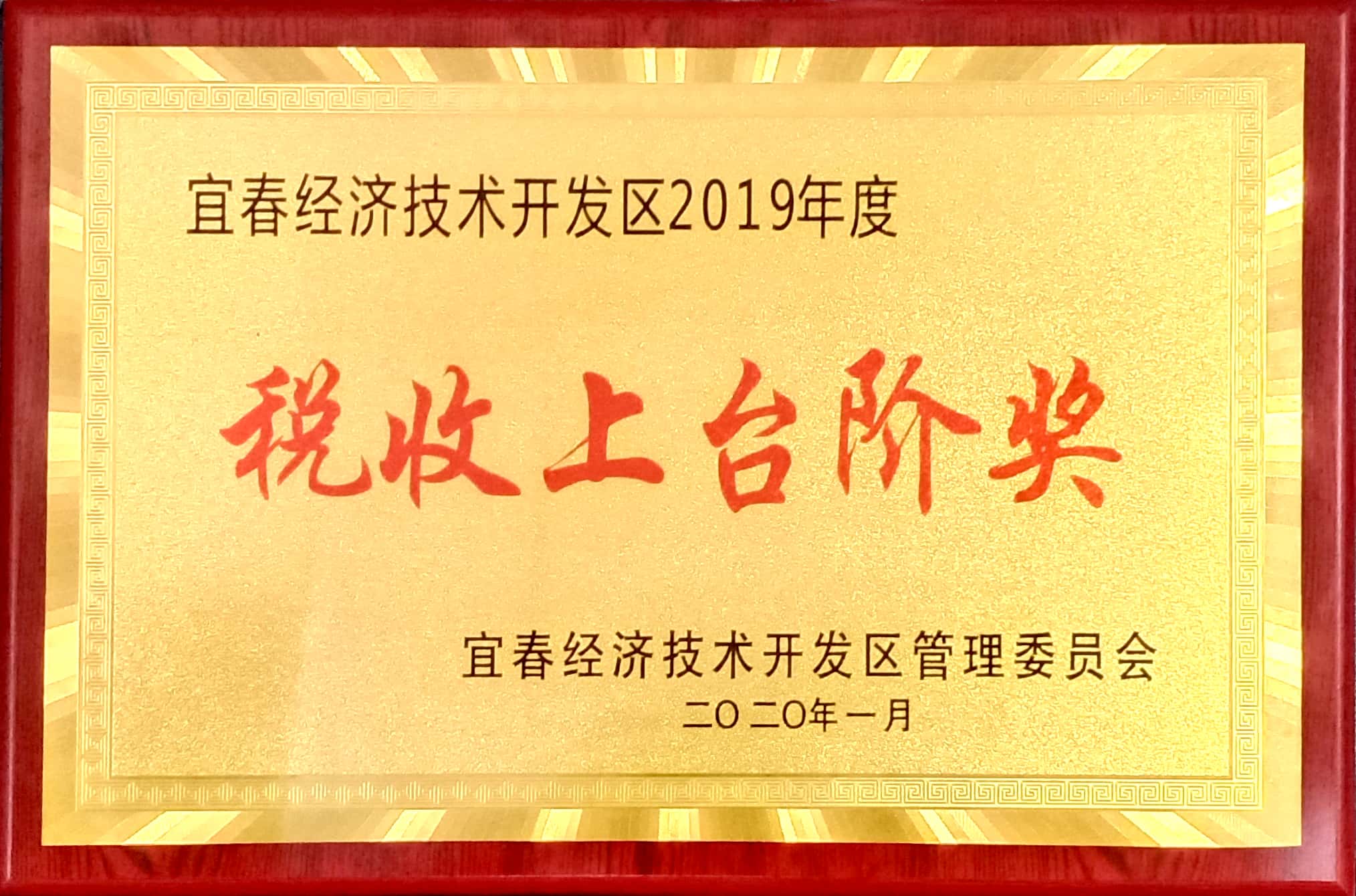 2019年度税收上台阶奖