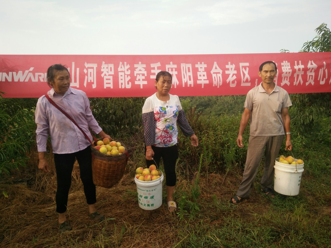 点赞！江山智能成功入选“上市公司村落振兴优良实际案例”